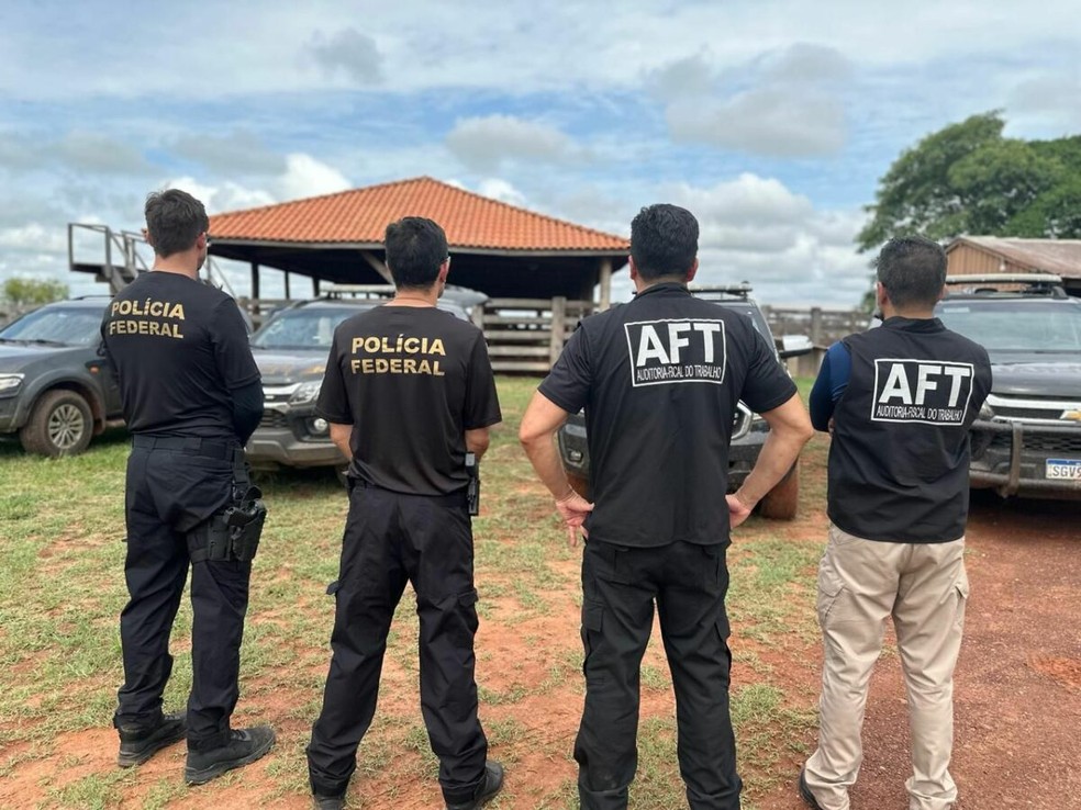 Três propriedades foram fiscalizadas e um homem foi preso, por porte de armas e armazenamento irregular de agrotóxicos — Foto: Polícia Federal/Divulgação