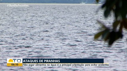 Biólogo dá orientações para evitar ataques de piranhas nas praias