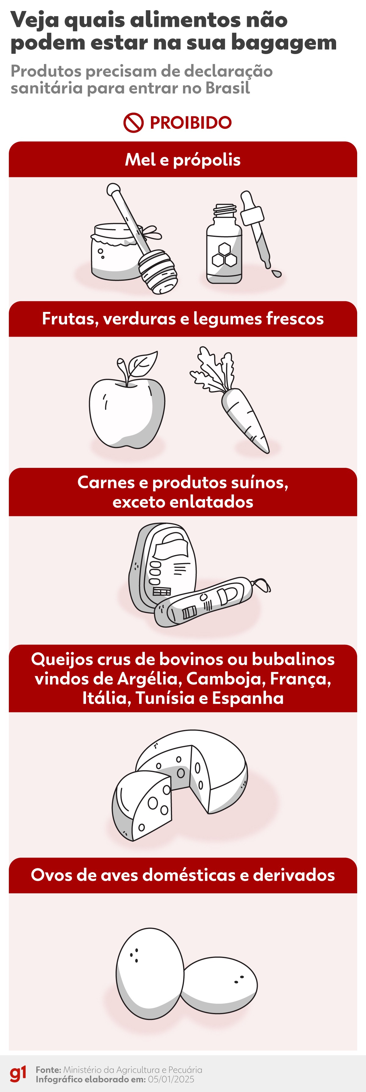 Vai trazer comida do exterior? Veja quando e como pedir autorização após mudança de regra