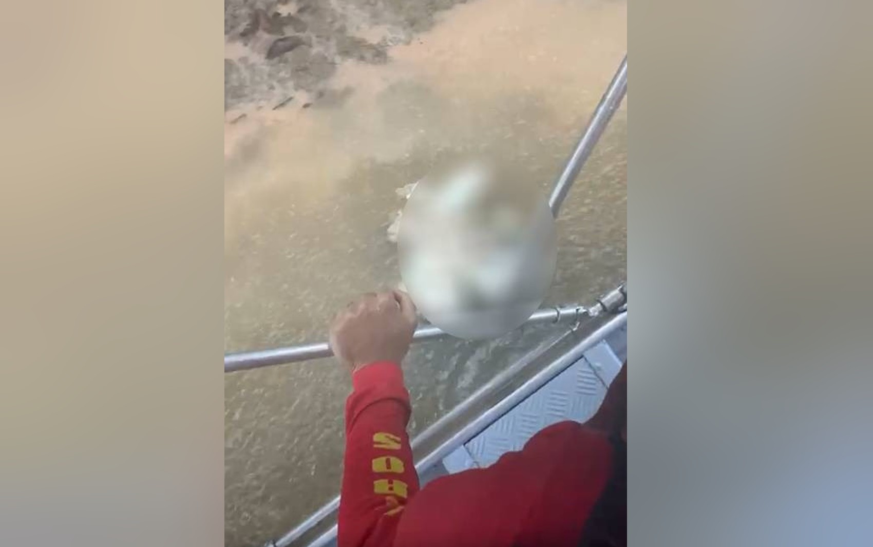 Moradores ficam intrigados com morte de homem que teve corpo devorado por jacaré