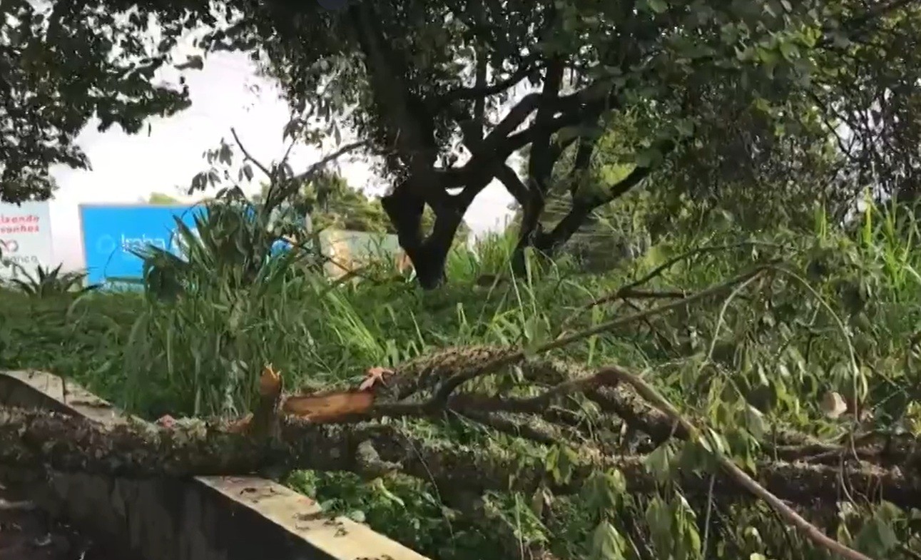 Nova Friburgo assina novo contrato de concessão da limpeza urbana 