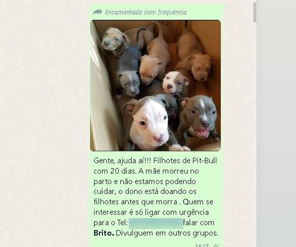 Empres rio recebe mais de 9 mil liga es ap s n mero aparecer em