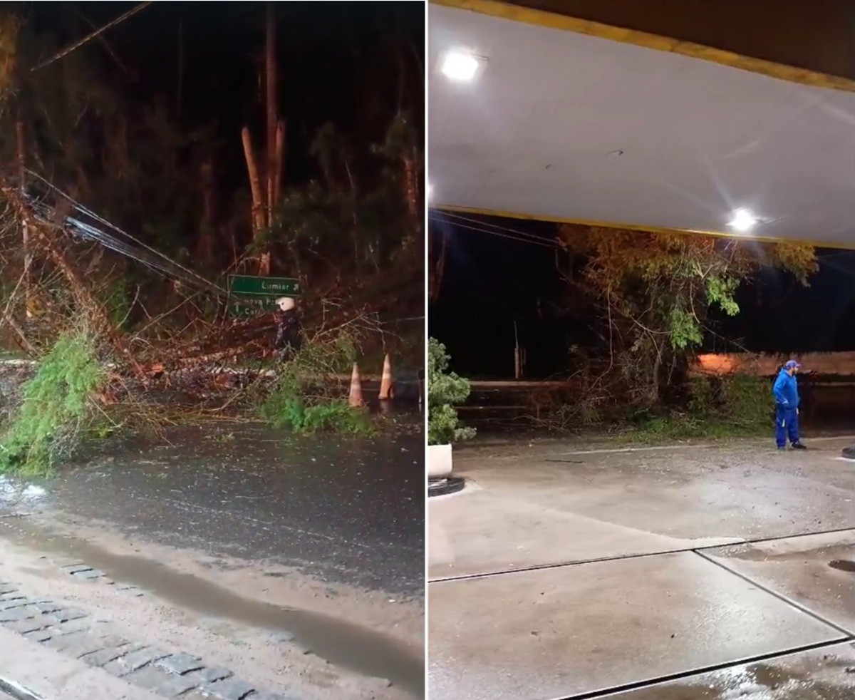 Ventania causa transtornos em Nova Friburgo e motociclista morre após acidente na RJ-116