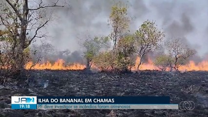 Polícia Federal vai investigar incêndios criminosos na Ilha do Bananal