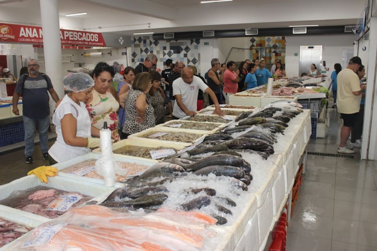 Festival da Tainha e Camarão tem pescados a partir de R$ 12,99 em Santos; confira