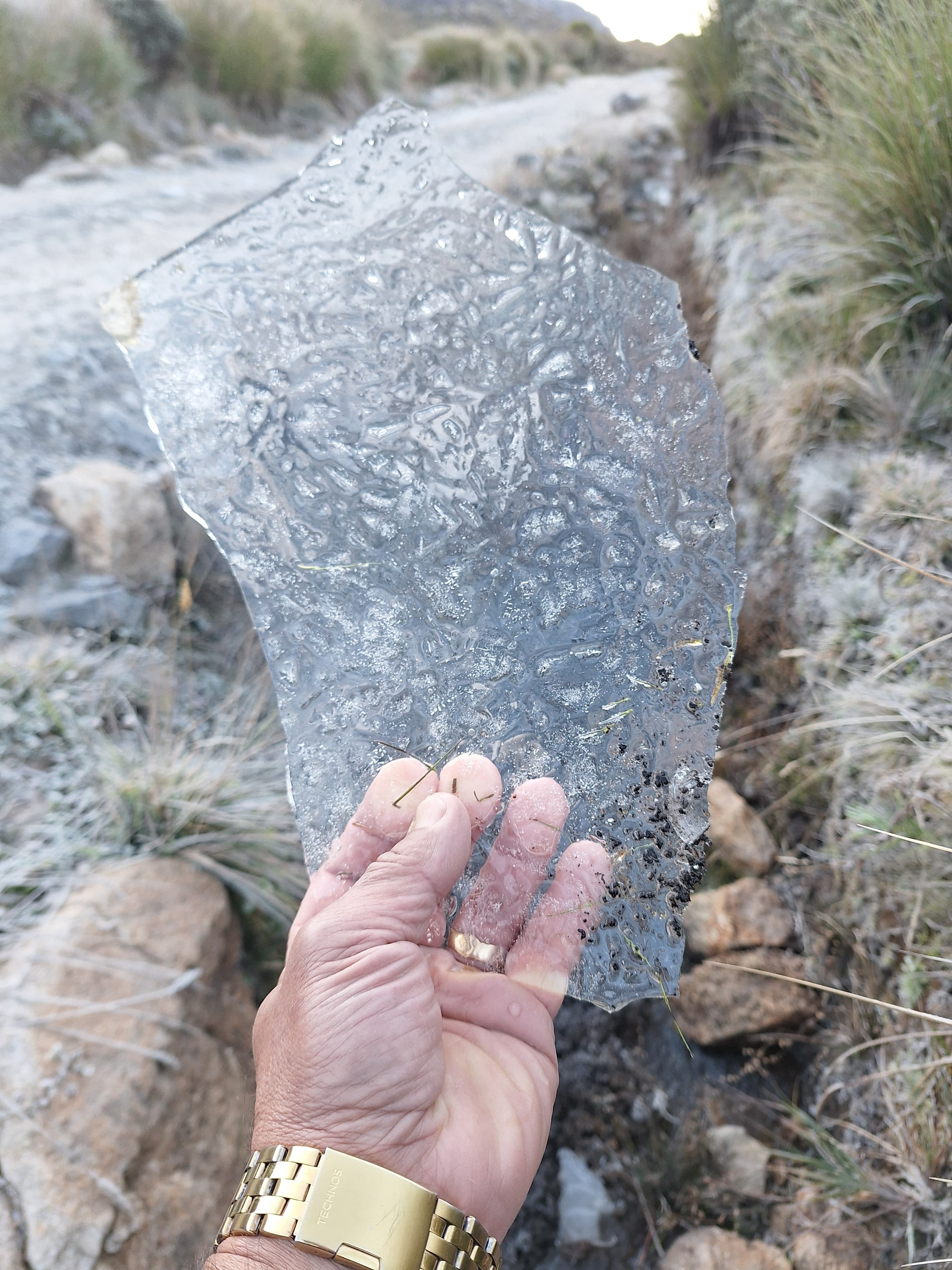 VÍDEO: Parque Nacional do Itatiaia registra temperatura mais baixa do Brasil nesta quarta-feira com -8.8ºC 