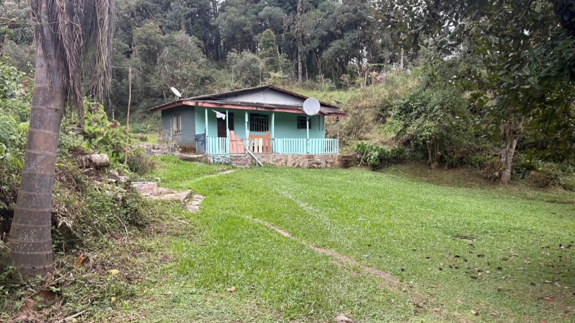 'Me bateu com o machado, cabo de enxada, cortou um pedaço do meu cabelo', relembra mulher torturada pelo companheiro no Paraná