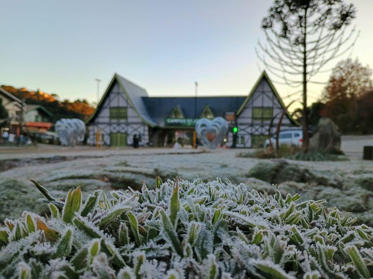 Com frente fria, Inmet faz alerta para geada em 17 cidades da região; há risco de perda de plantações