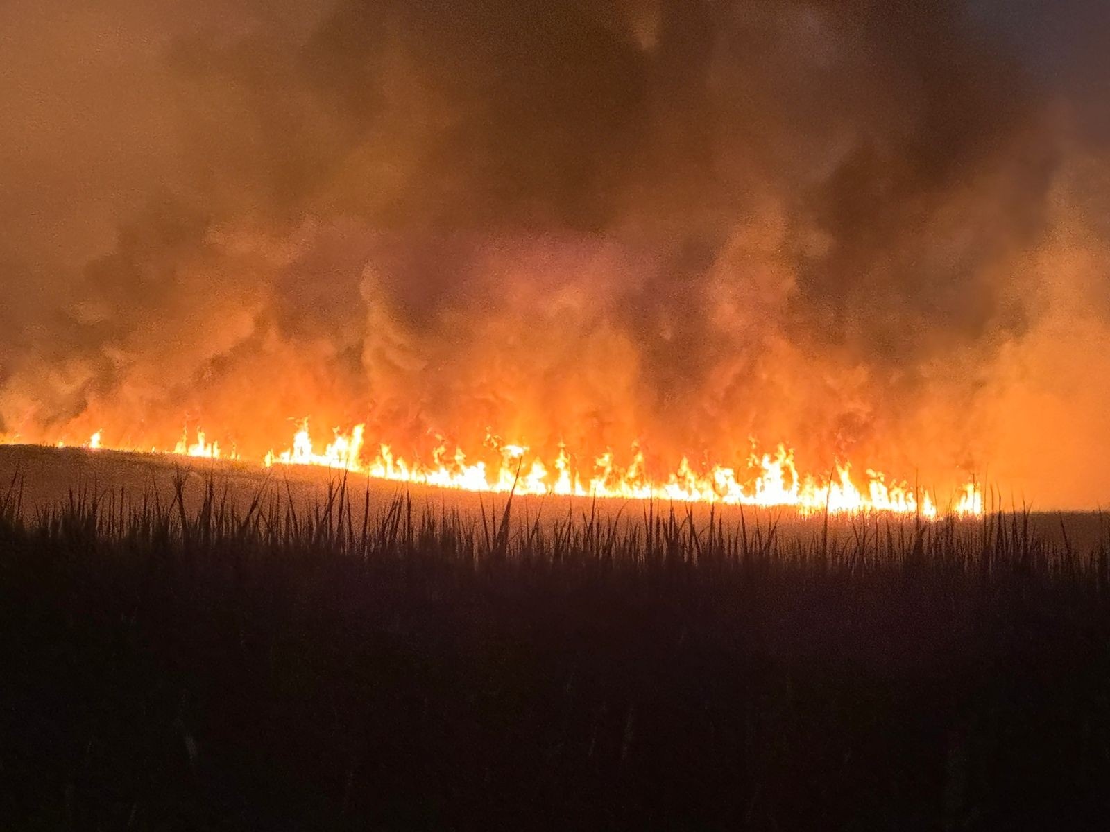 Incêndio de grandes proporções atinge canavial no distrito de Terra Nova do Oeste, em Santa Mercedes