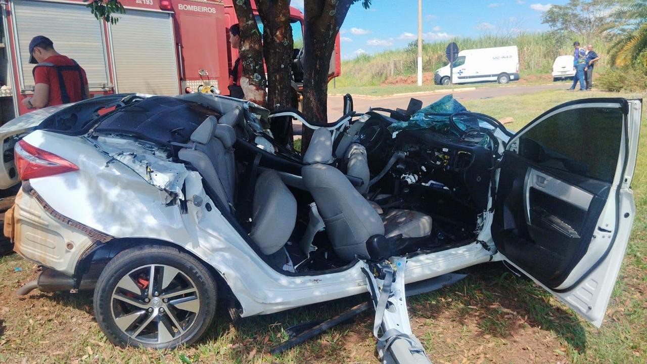 Motorista morre ao bater veículo contra árvore em rodovia 