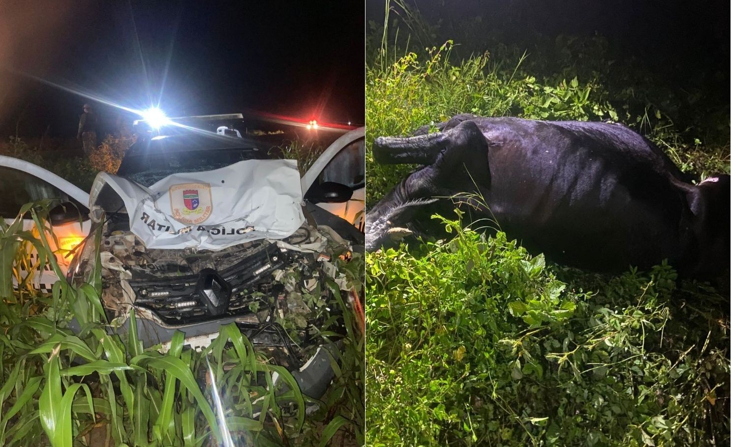 Viatura da PM atinge vaca e sai da pista na BR-405 no RN