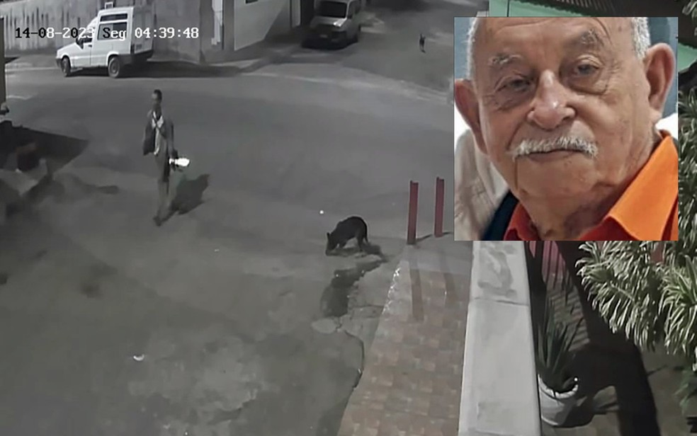 Cachorro que aparece em imagens de câmeras de segurança 'entrega' e suspeito da morte de comerciante é preso em MG — Foto: Reprodução Redes Sociais