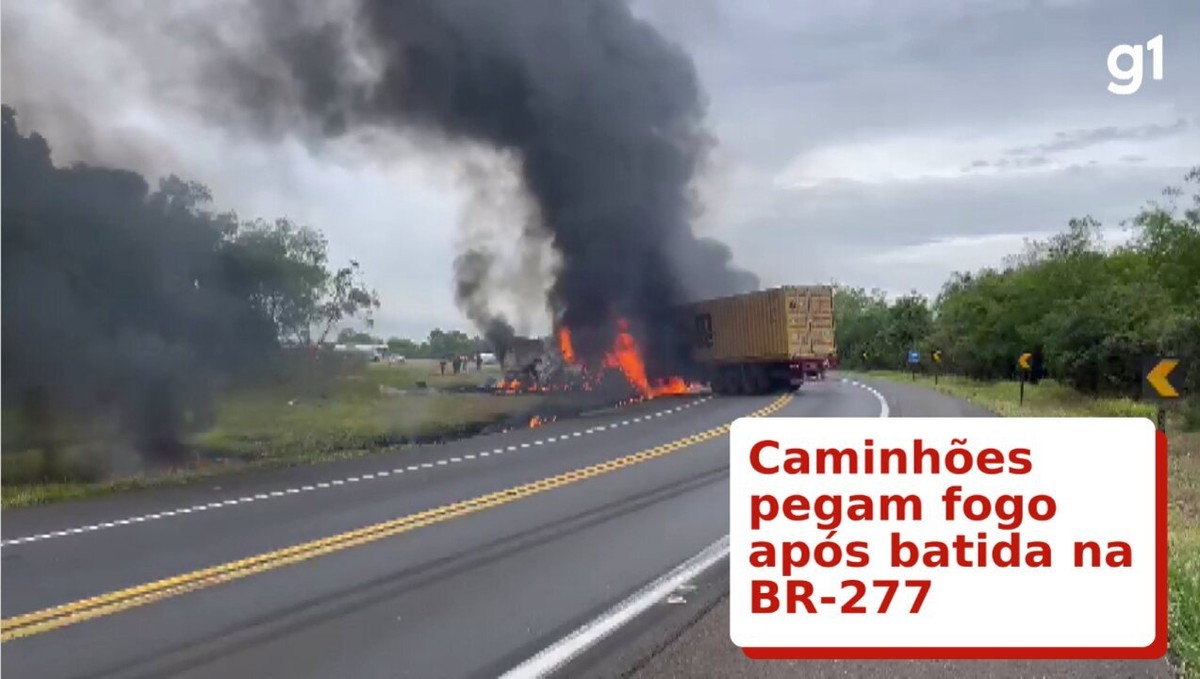 Vítimas de acidente na BR-277 estavam na contramão, diz caminhoneiro -  Massa News