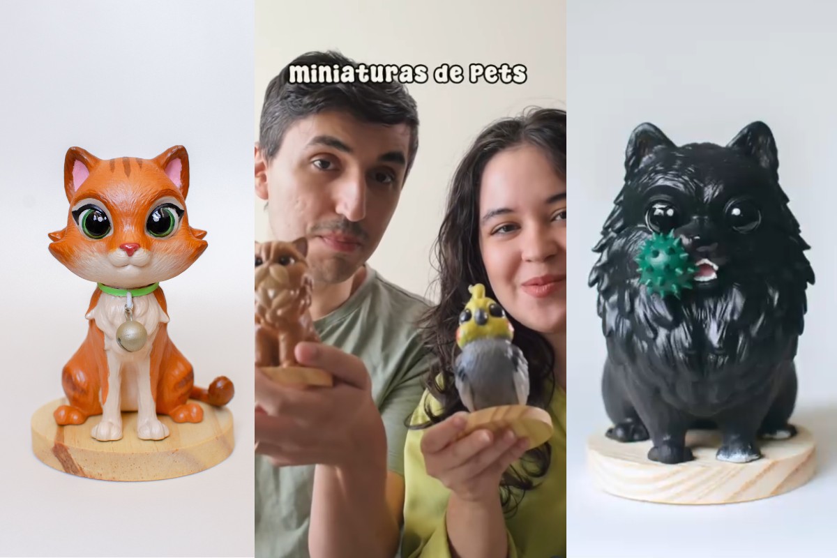 De pets de família a astros do cinema: casal cria miniaturas 3D e emociona tutores no interior de SP