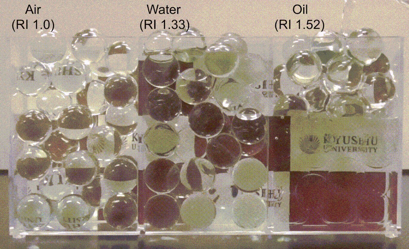 
Proteína do sangue ajuda cientistas a deixar cérebro temporariamente 'transparente'; entenda a técnica