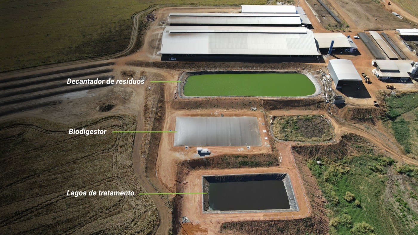 Dê um gás em sua propriedade: biogás pode substituir outras fontes de energia