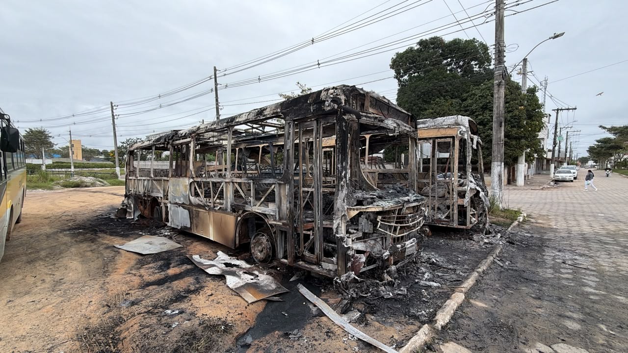 VÍDEO: incêndio destrói dois ônibus em terreno e barulho de explosões assusta moradores no ES