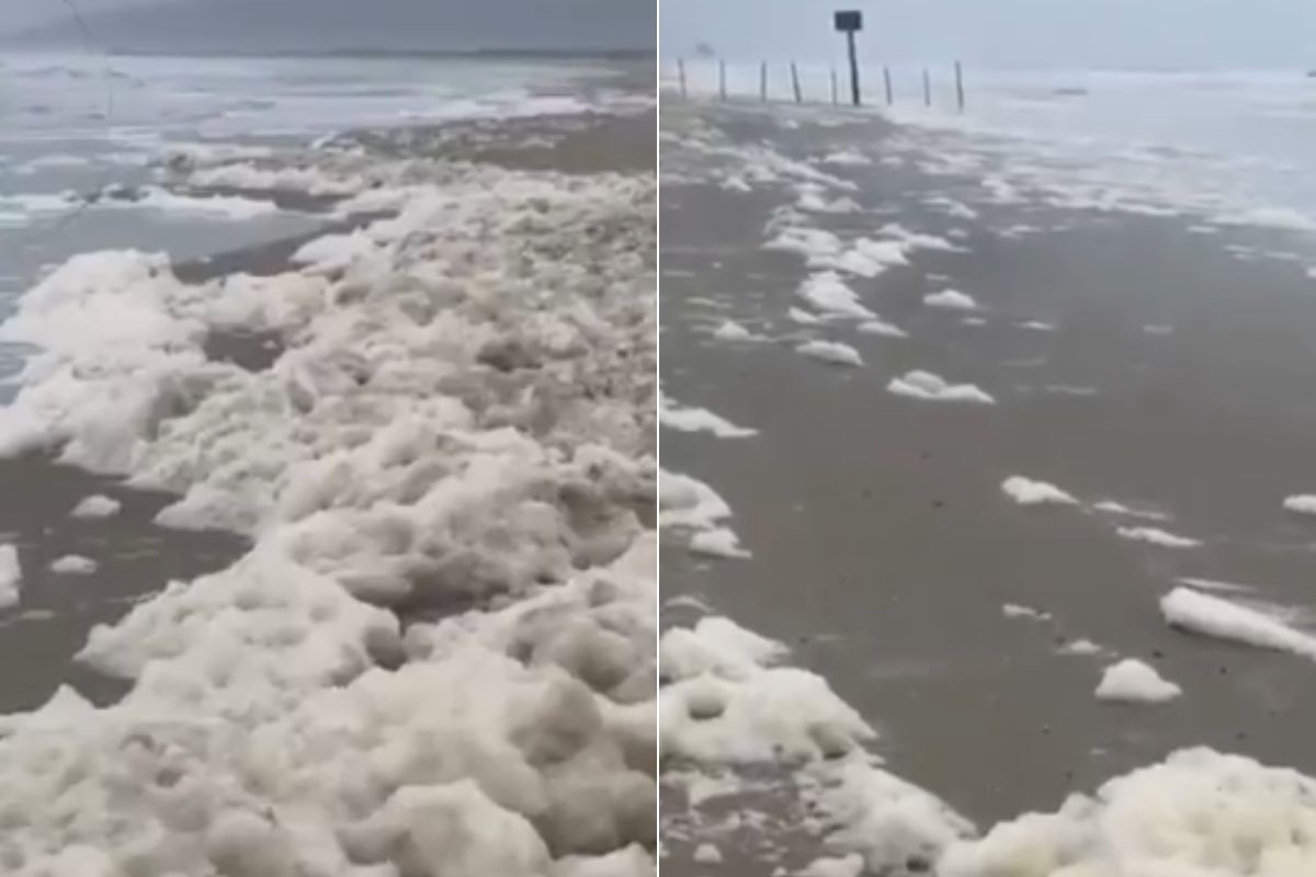 Espuma cobre faixa de areia e mar em praia do litoral de SP; entenda o fenômeno