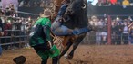 Rijproeven op het Americana Cowboy Festival