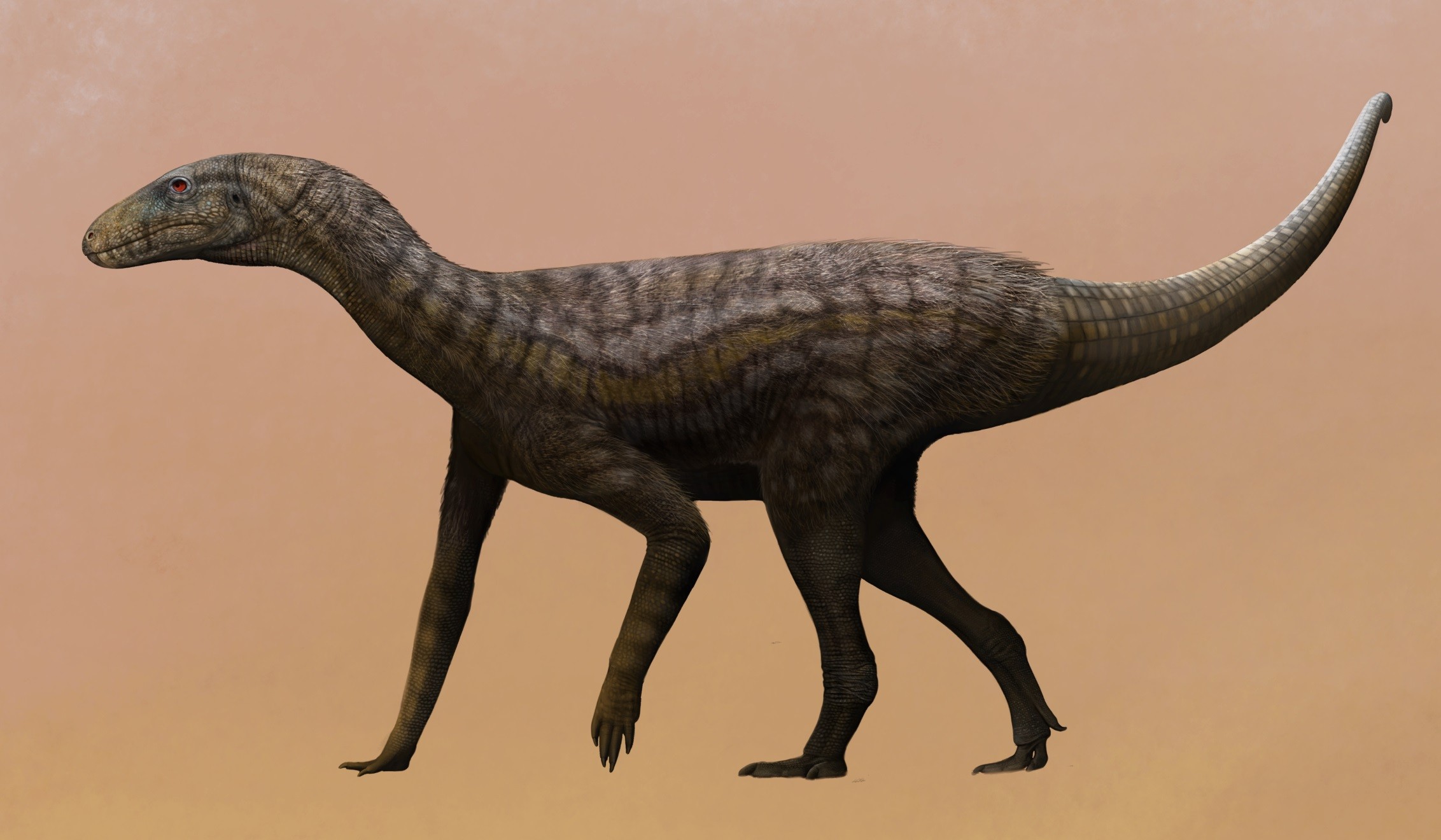 Fóssil de precursor dos dinossauros com 237 milhões de anos é descoberto no RS; veja imagens