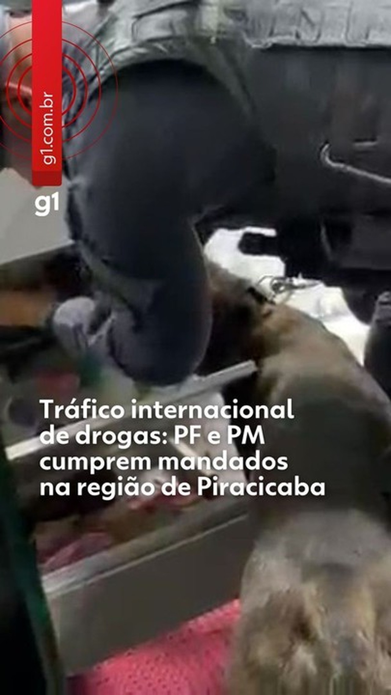 Criminoso morto em operação contra tráfico internacional de drogas em SP recrutava 'mulas' para o PCC, diz PM