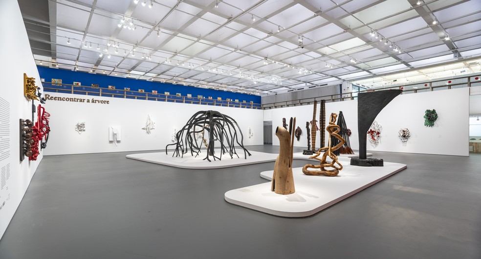 "Frans Krajcberg: reencontrar a árvore", a exposição integra o ano dedicado às Histórias da ecologia. — Foto: Divulgação