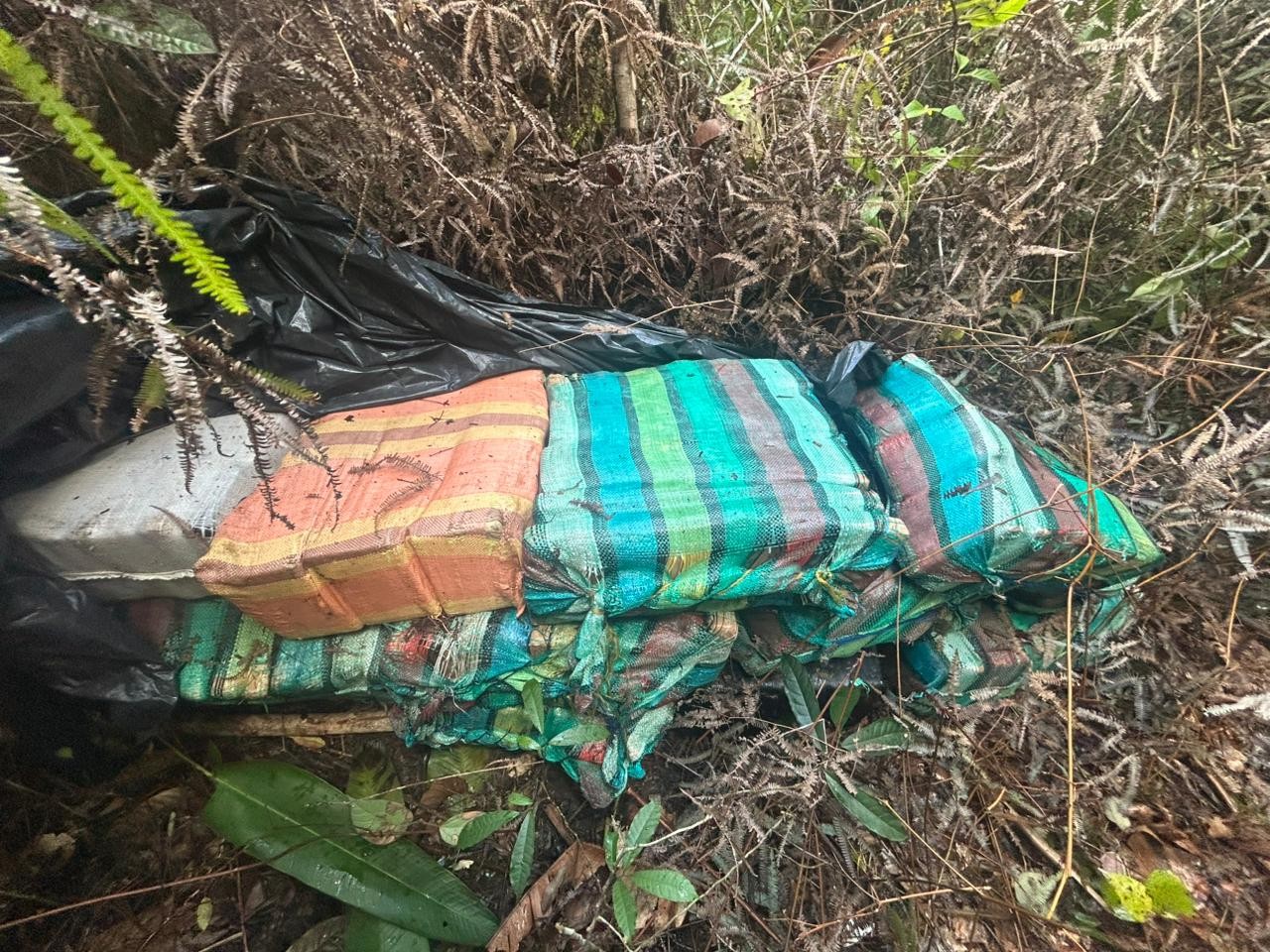 Mais de 860 kg de maconha tipo skunk são apreendidos no Amazonas 