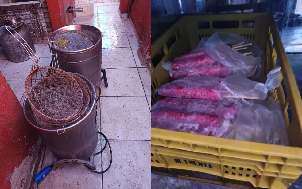 Uma fábrica clandestina de produtos de origem animal é interditada em Birigui (SP) — Foto: Divulgação
