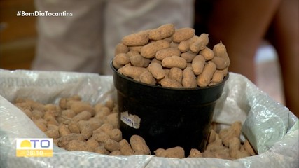 Delicioso e popular: feiras da Capital oferecem vários tipos de amendoim