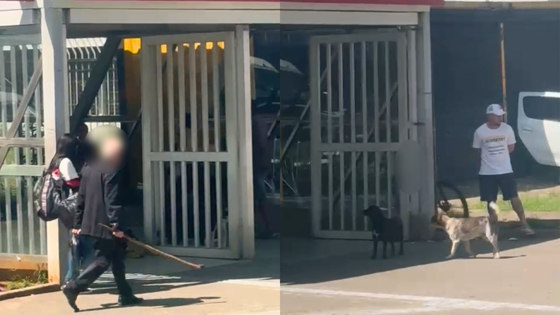 VÍDEO: idoso é filmado agredindo cachorro em estação da CPTM em Suzano