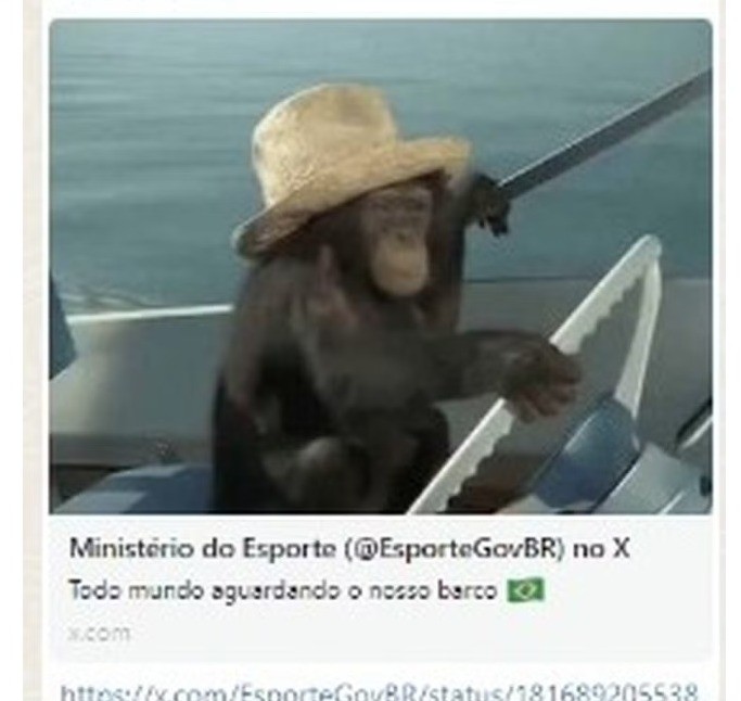 Ministério faz postagem racista com macaco em alusão ao barco do Brasil na abertura das Olimpíadas, tira do ar e lamenta 