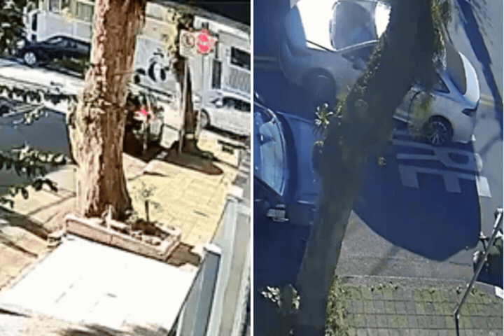 Motorista atropela idosa de 81 anos e foge sem prestar socorro no litoral de SP; VÍDEO 