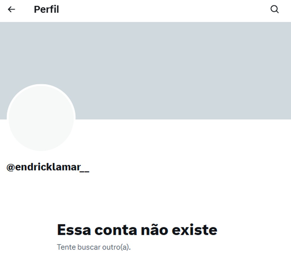 Perfil excluído logo após o contato do g1. — Foto: Reprodução/X