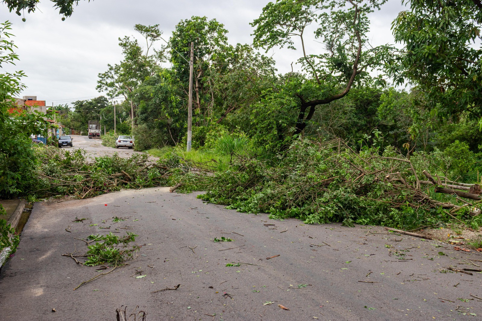 Chuva causa quedas de árvores e destelhamentos de casas em Capivari