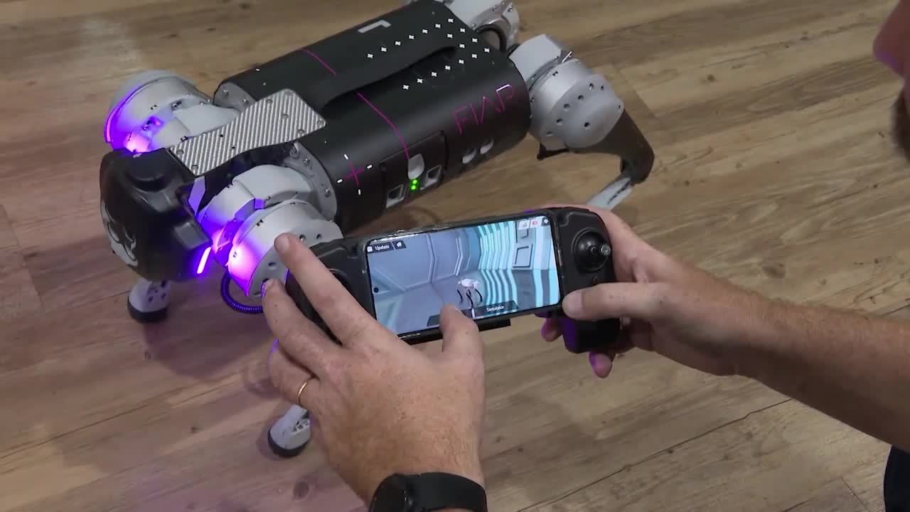 Você Não Tá Convidada pro Meu Bat Mitzvá!