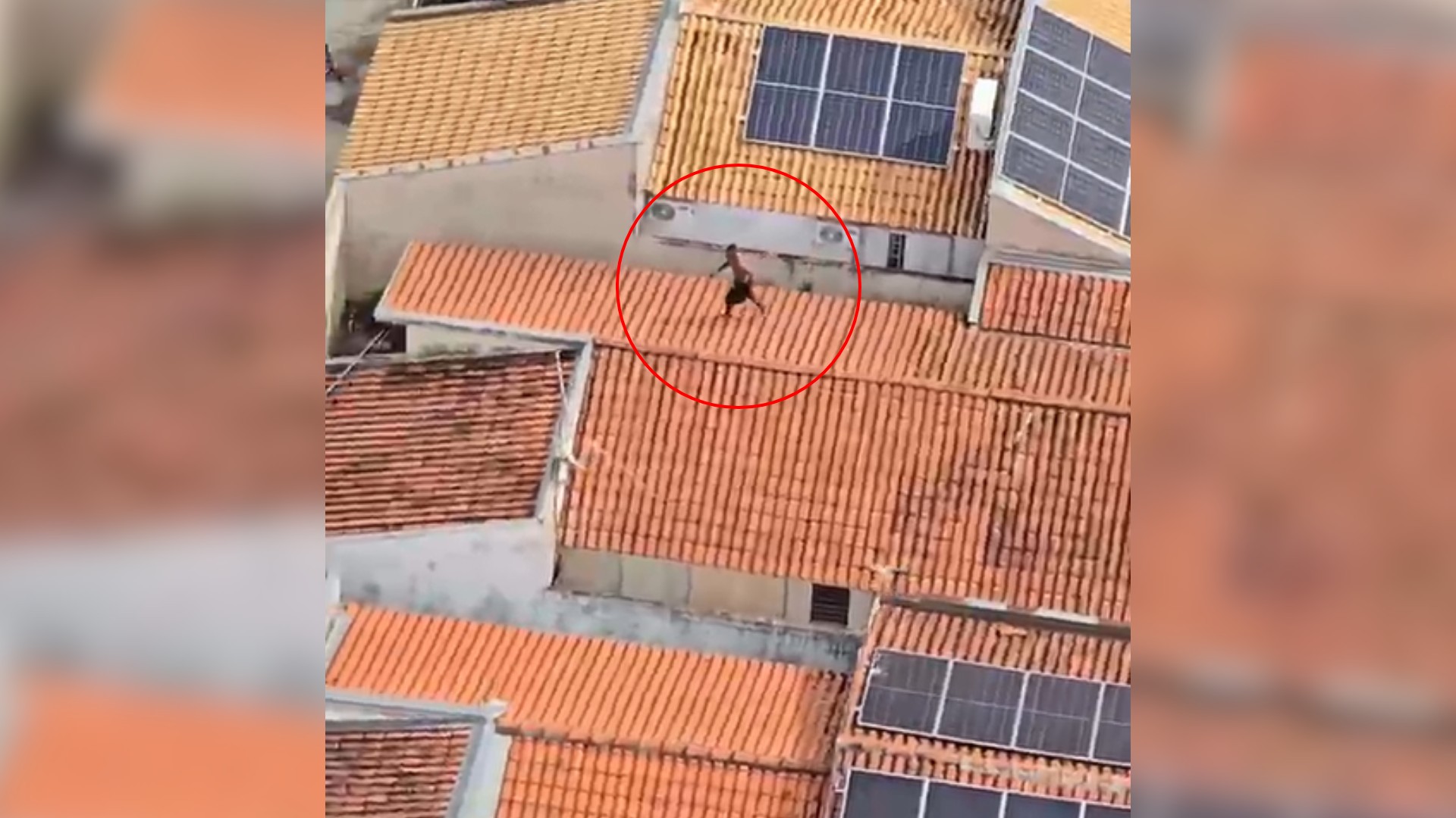 VÍDEO: ladrão foge pelos telhados, é perseguido pelo helicóptero Águia e acaba preso após furtar casa