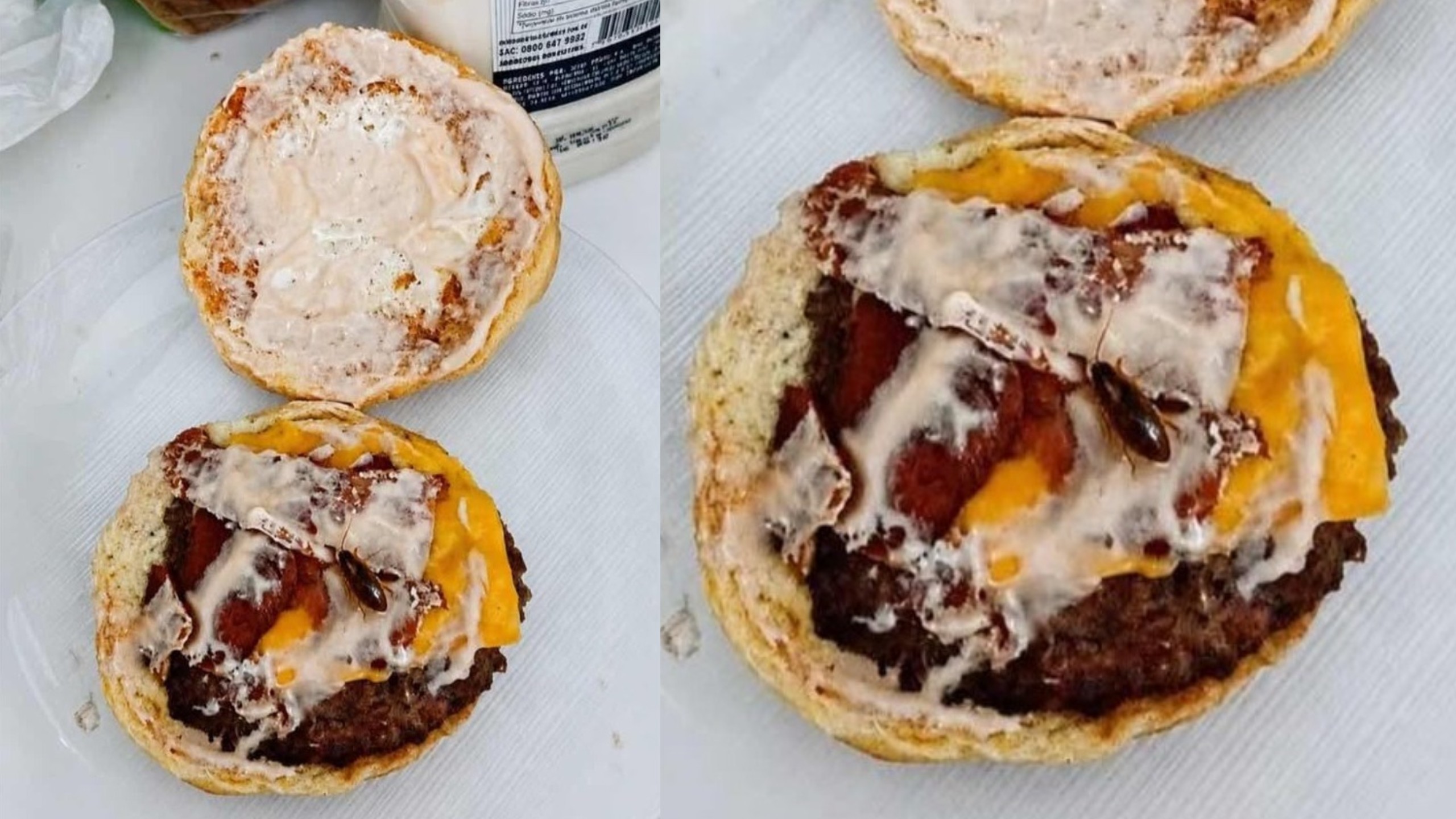 Cliente usa inteligência artificial para simular barata em lanche e pedir reembolso no Paraná