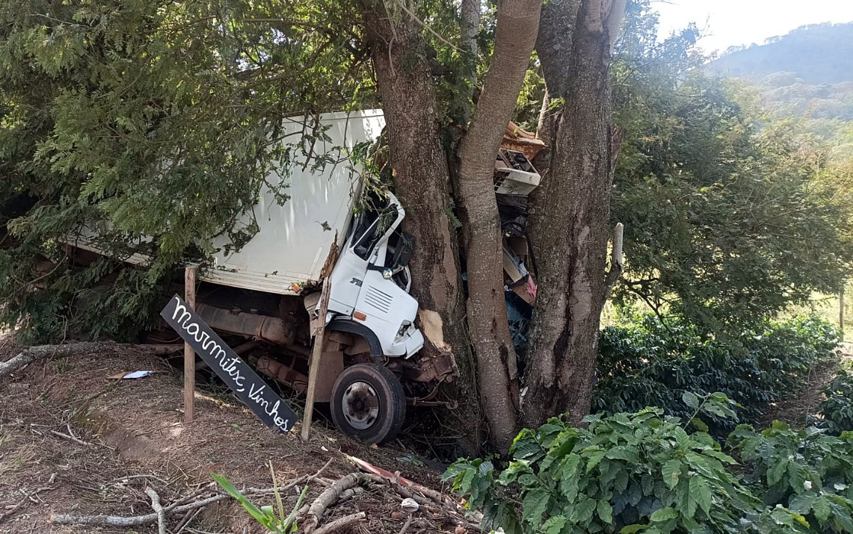 Motorista morre após caminhão sair da pista e bater em árvore na Rodovia Waldemar Miguel, em Serrania, MG