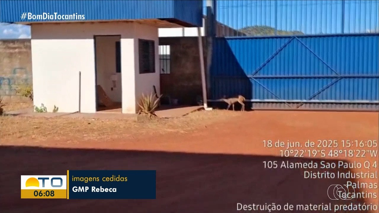 VÍDEOS: Bom dia Tocantins de quinta-feira, 19 de junho de 2025