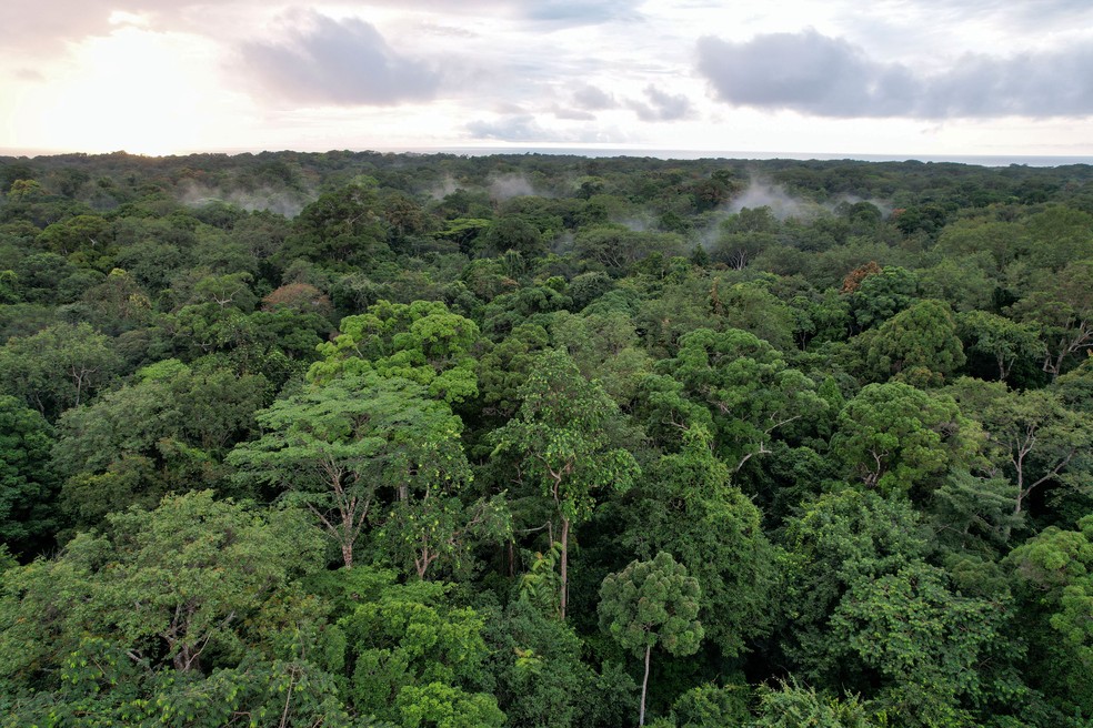 Vista aérea da floresta tropical do Gabão, no Arboreto Raponda Walker, Gabão, em 11 de outubro de 2021. Imagem capturada por drone. — Foto: REUTERS/Christophe Van Der Perre