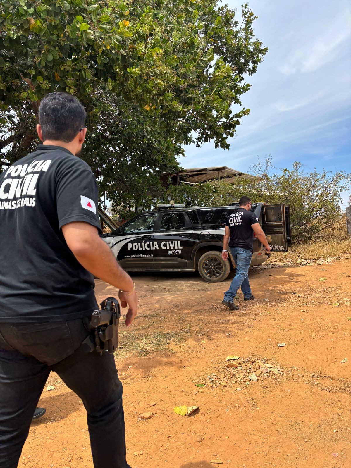 Funcionários suspeitos de furto de gado de fazenda em MG são alvos da polícia: 'Adquiriram casas, carros e motos'