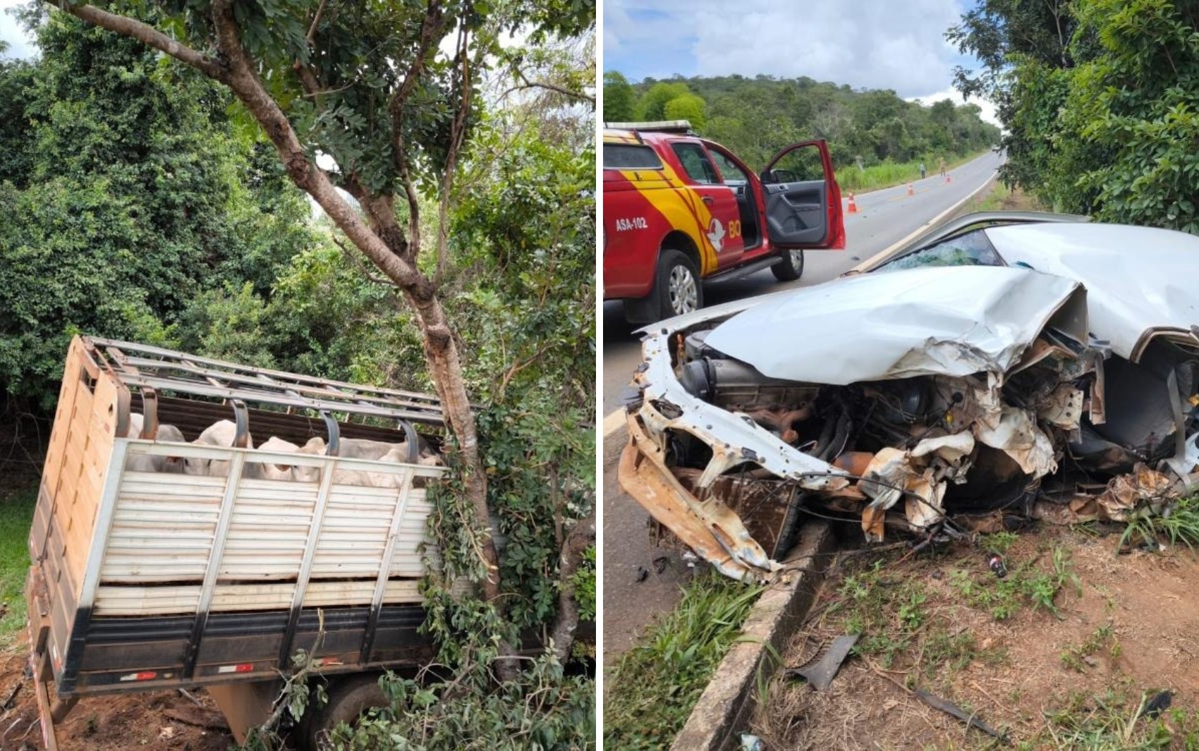 Acidente entre carro e caminhão carregado com gado deixa três mortos na GO-020