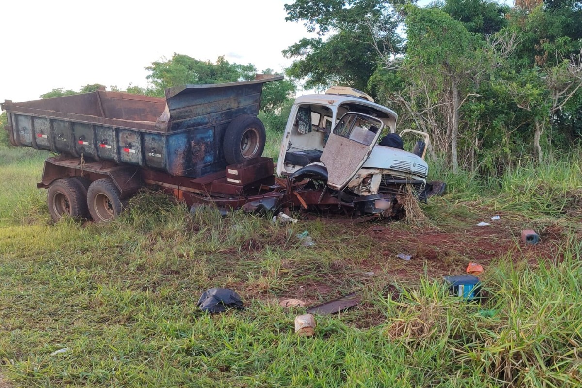 Dois homens morrem após acidente seguido de ataque de abelhas em rodovia no interior de SP