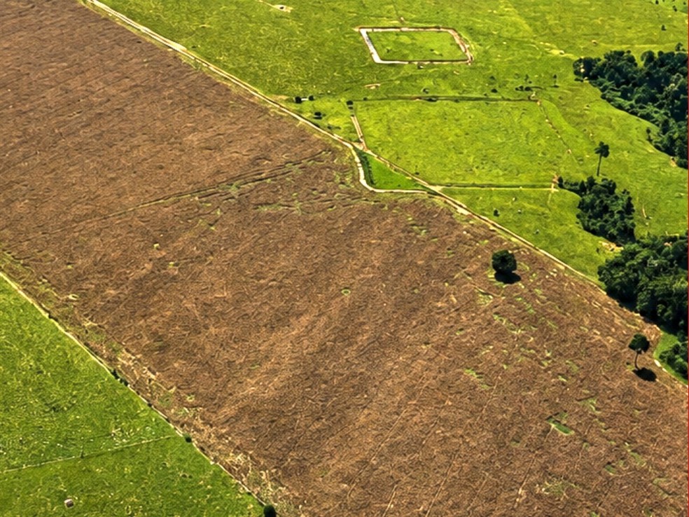 Levantamento abrangeu uma área que inclui o Acre, o sul do Amazonas e regiões da Bolívia e do Peru — Foto: Arquivo/Altino Machado