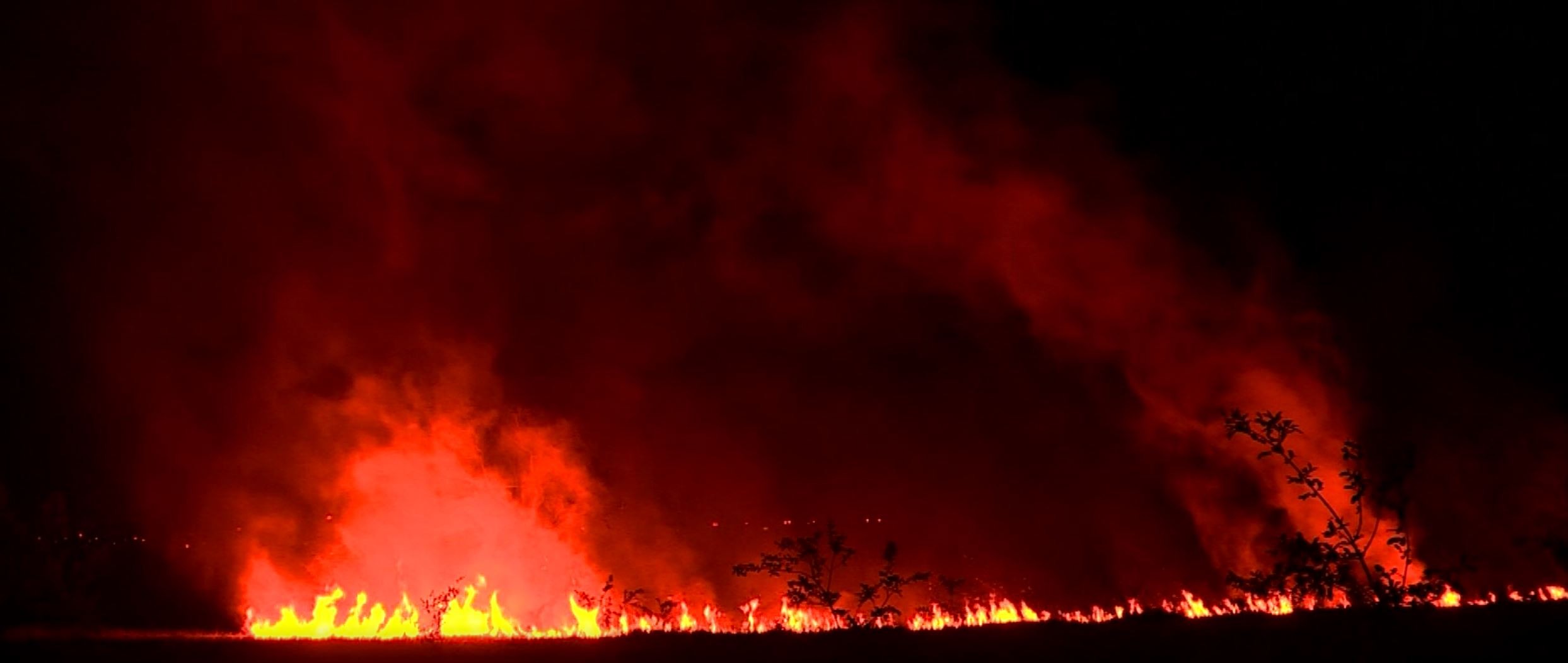 Incêndio atinge área de vegetação e destrói horta comunitária no distrito de Barão Geraldo, em Campinas; homem é investigado