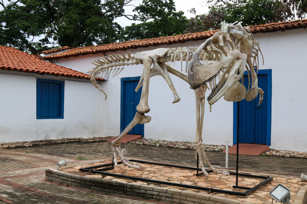 Réplica dos fósseis do Pycnonemosaurus Nevesi que é exposto no Museu de História Natural de Mato Grosso — Foto: Thiago "Zina" Crepaldi/Acervo MHNMT