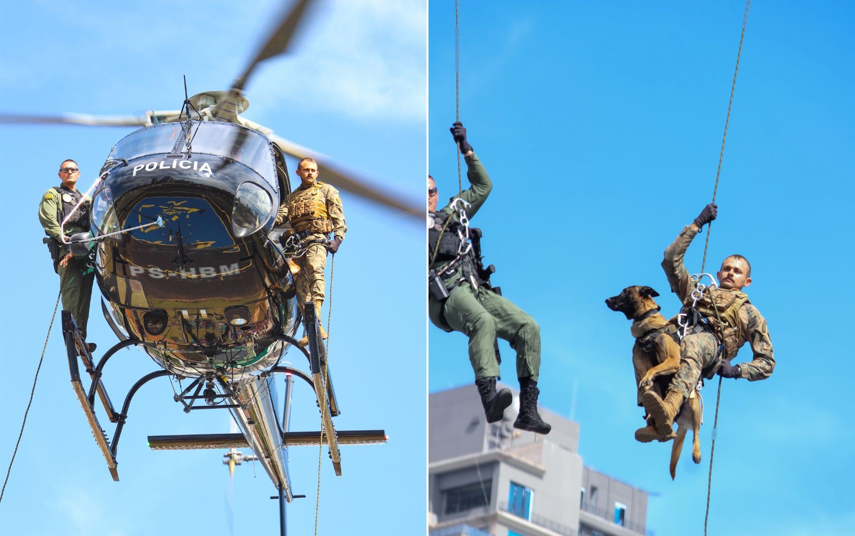 Cão policial desce de rapel de helicóptero em Goiânia; vídeo
