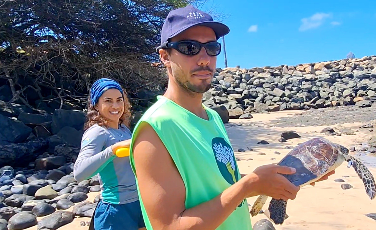 Tartaruga atropelada por barco é tratada e devolvida ao mar em Fernando de Noronha; VÍDEO