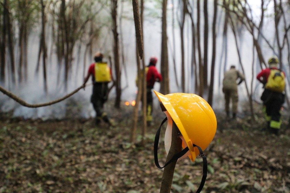 Bombeiros combatem incêndio em área de floresta em Iranduba, no Amazonas — Foto: Mauro Neto/Secom