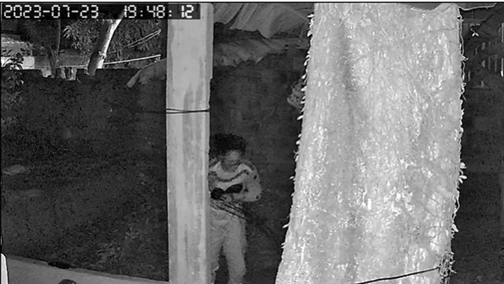 Câmera registra momento em que mulher quebra muro da casa da irmã na Baixada Fluminense — Foto: Reprodução